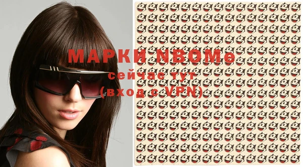 PSILOCYBIN Вяземский