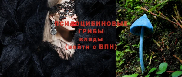 PSILOCYBIN Вяземский