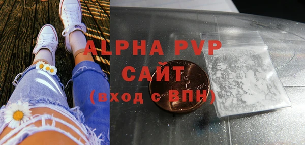 PSILOCYBIN Вяземский