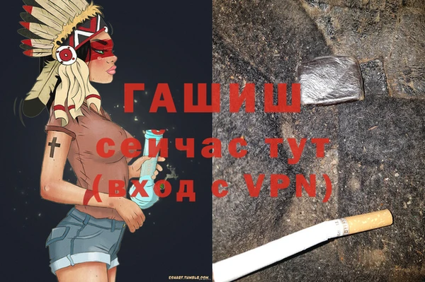 PSILOCYBIN Вяземский
