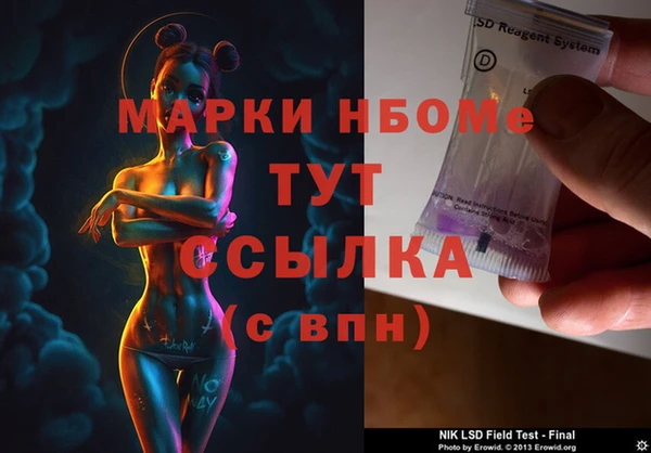 PSILOCYBIN Вяземский